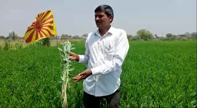 भगवान रामजी इंगोले को मिला सेंद्रिय कृषि भूषण पुरस्कार 2019