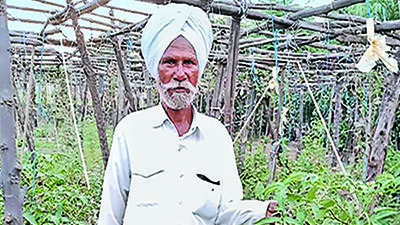  70 साल के किसान ने यौगिक खेती से पेश की मिसाल